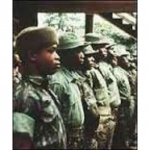 biafran-voluntary-force
